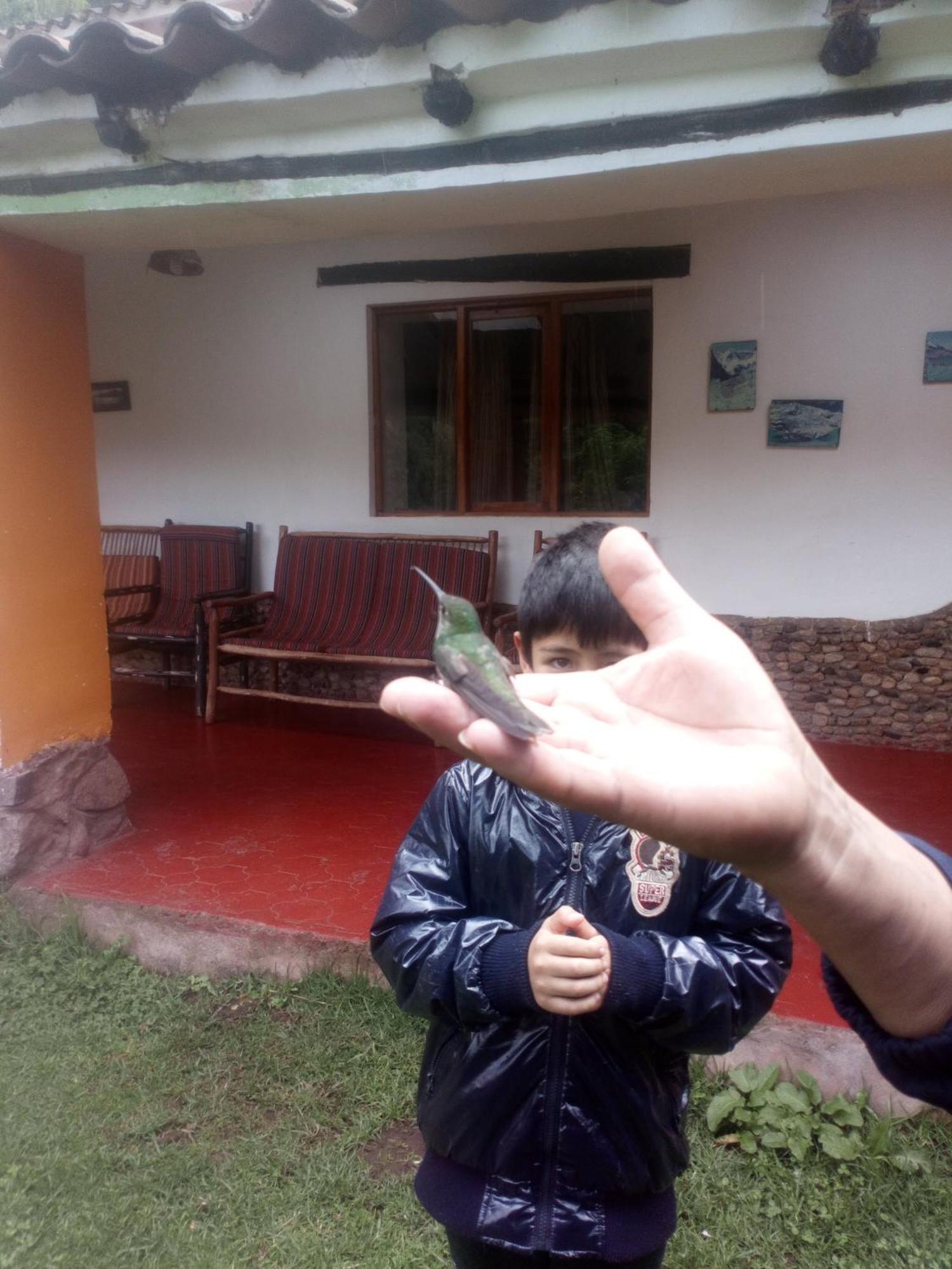 Ecolodge Ccatan Urubamba Exterior foto